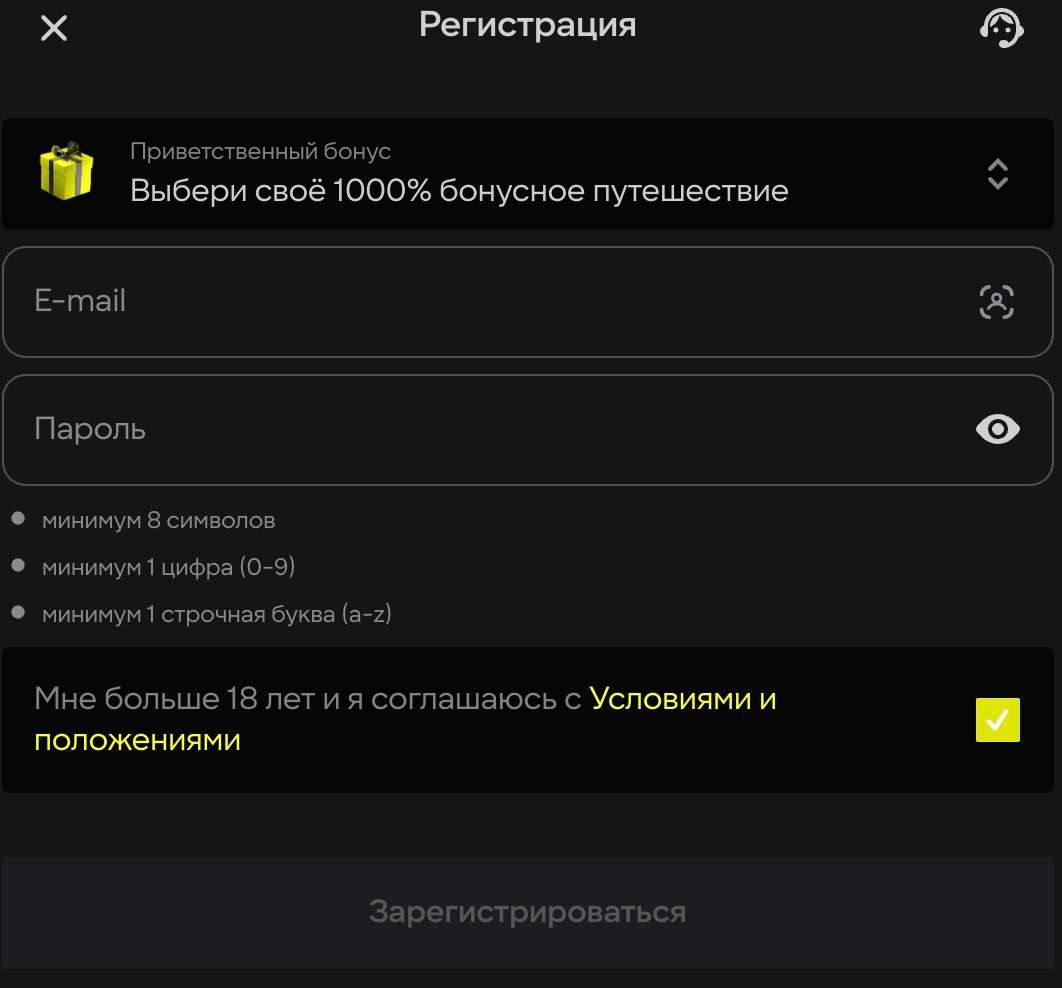 Регистрационная форма, заполненная в начале